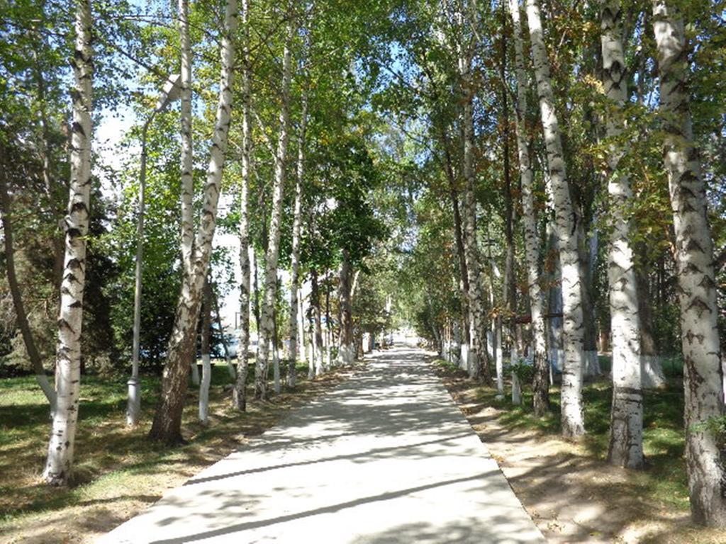 Guest House At Do Altyn - Kum Chon-Sary-Oy Ngoại thất bức ảnh